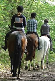Balade à cheval Balade à cheval